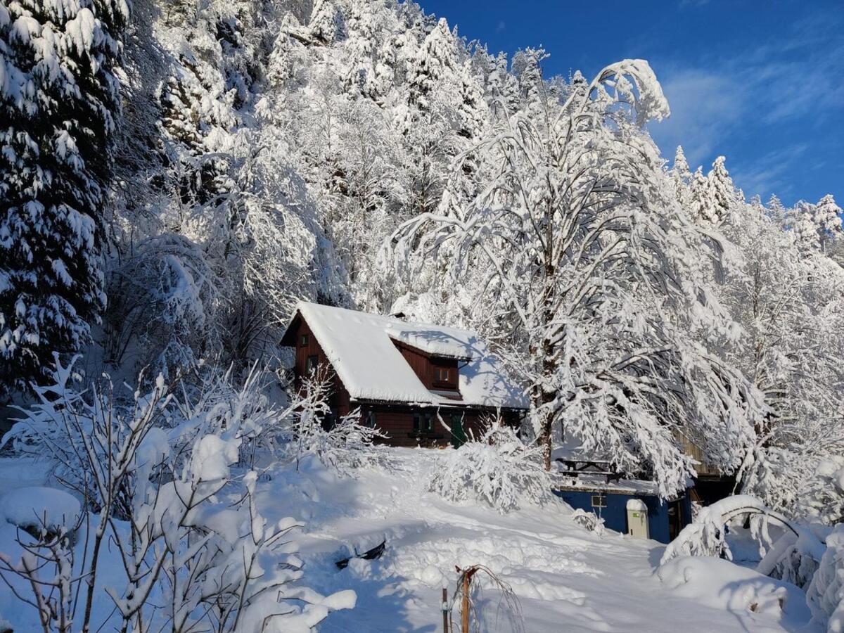 Villa Idyllic Mountain Huette -Gesaeuse Nationalpark Landl  Exterior foto